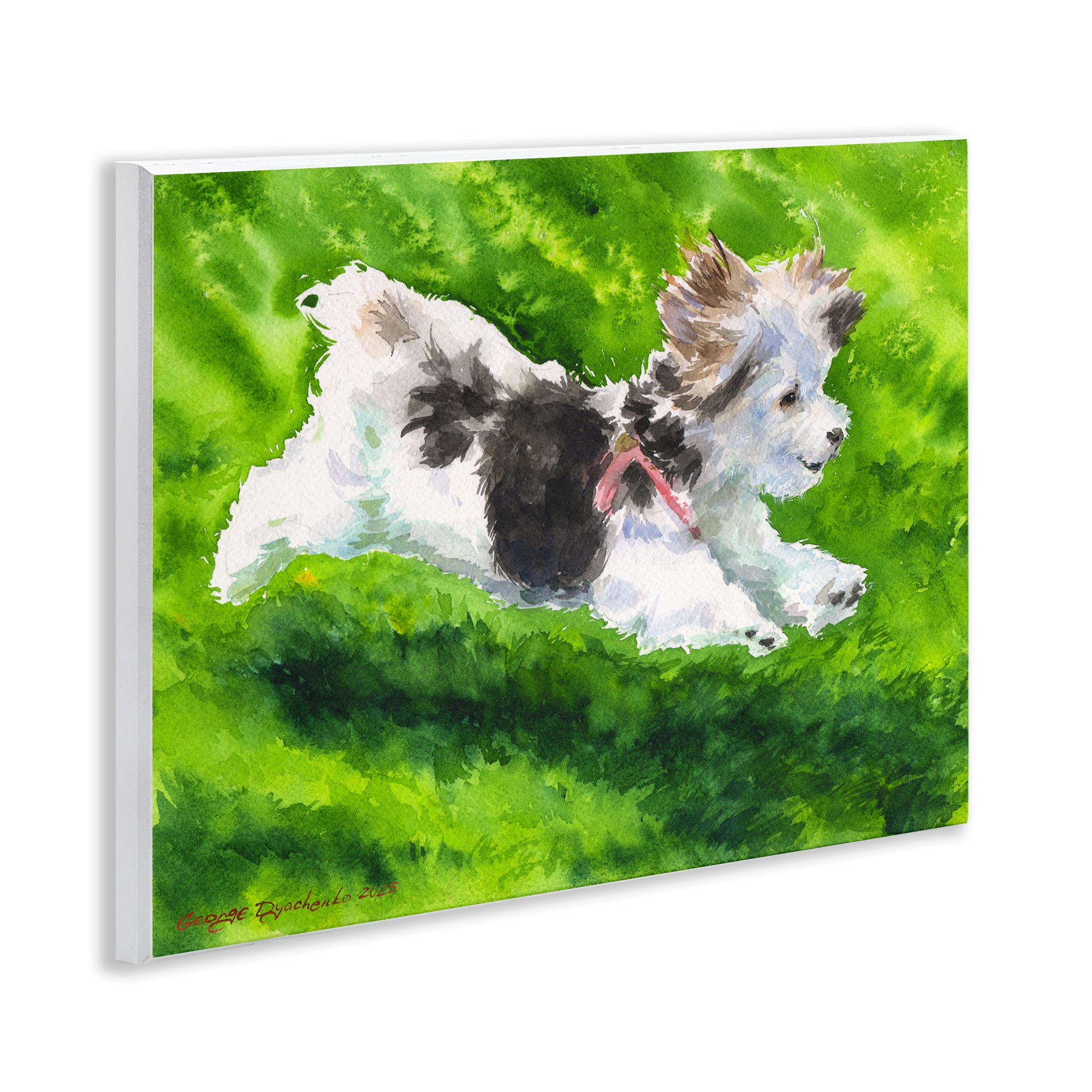 Stupell Industries Happy Maltipoo Running Wall Plaque Art, design by George Dyachenko
