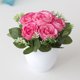 thumbnail image 5 of Gwong Decoración hogareña Flor Fake Flower Simulated Dinning Decor Decoración de plástico Dormitorio Imating Potted Flower para el hogar Gwong 21061534, 5 of 6