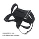 thumbnail image 5 of Greeniant Cilindro de oxígeno para buceo profundo, soporte trasero para tanque, chaqueta de esnórquel, correa de individual, mochila con Deportes acuáticos, 5 of 6