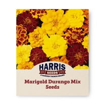 Harris Seeds - Marigold Durango Mix Seeds - Early-Blooming Variety - 50 Seeds