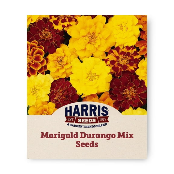 Harris Seeds - Marigold Durango Mix Seeds - Early-Blooming Variety - 50 Seeds