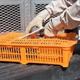 thumbnail image 4 of Premier 1 Quail Transport Crate - 26" L x 16" W x 5" H (Single), 4 of 7