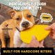 thumbnail image 3 of WoofBite ""Disco indestructible para perros - Reemplazo de por vida - Razas medianas y grandes - Ultra duradero para masticadores agresivos - Juguete de caucho natural resistente y resistente - Traer, 3 of 8
