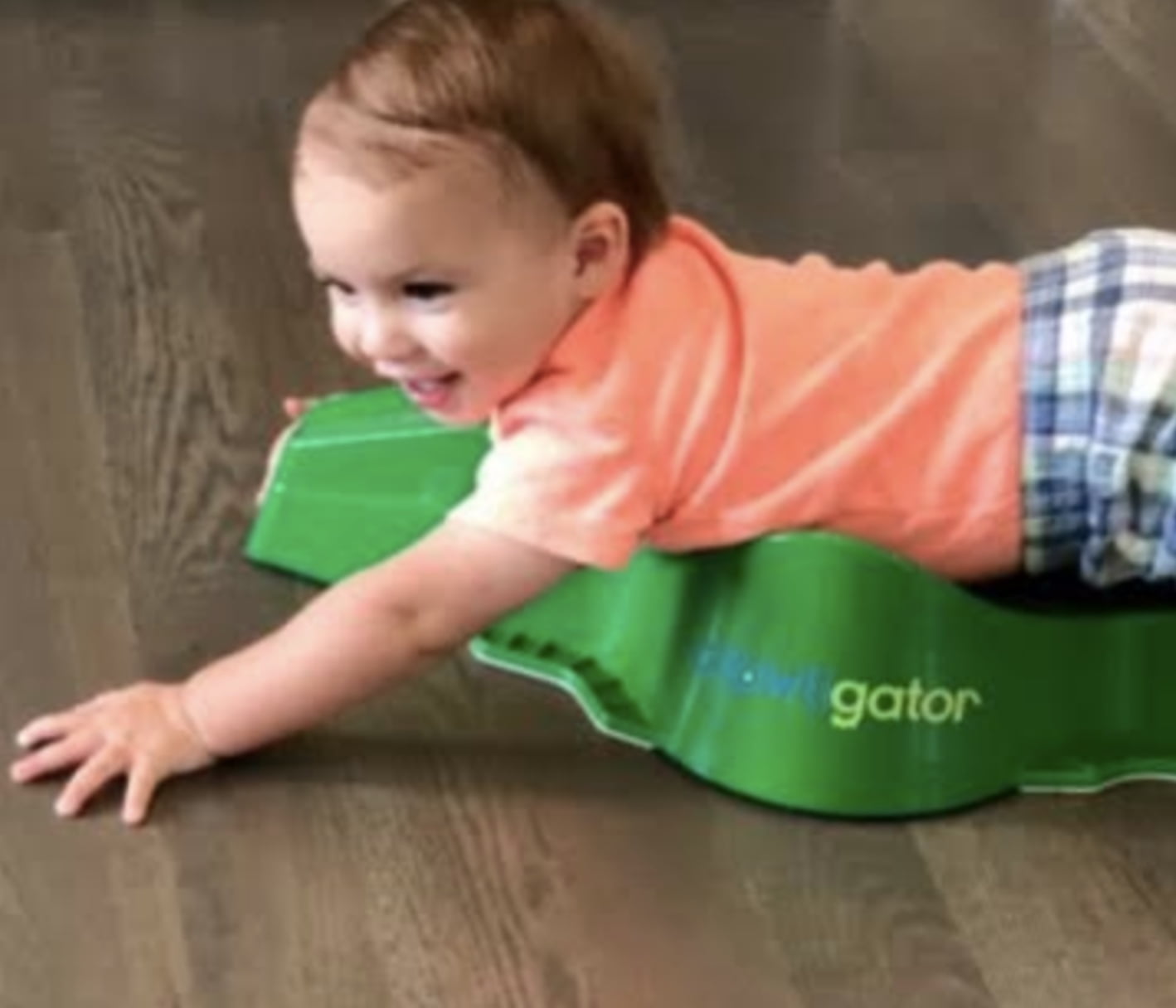 crawligator for sale