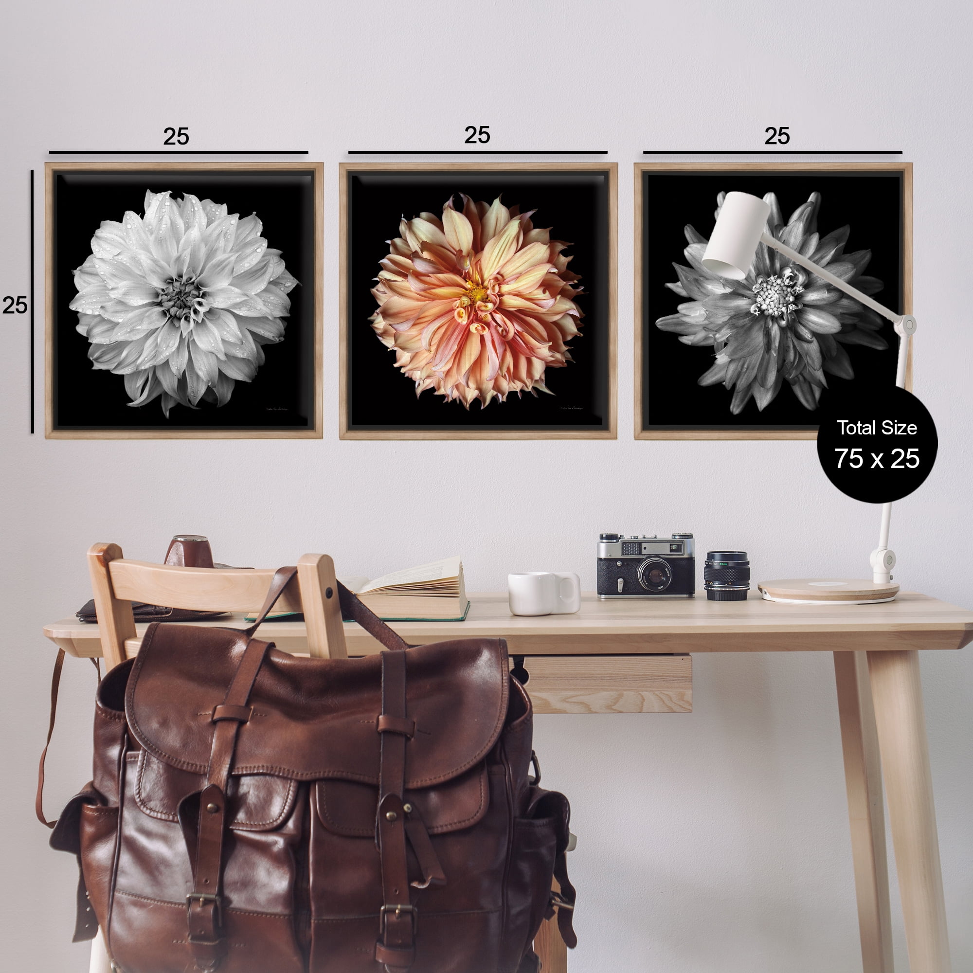 Stupell Industries Detailed Dahlia Photography Plants & Flowers Photography Brown Floater Framed Canvas Art Print Wall Art, 25 x 25, Set of 3