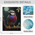 thumbnail image 3 of Diamond Art Kit for Adults, Colorful Bird Print No.255 Diamond Painting for Adults Beginners, 5D DIY Diamond Art Painting Kits, Colorful Diamond Painting Craft for Home Decor 12x16, 3 of 7