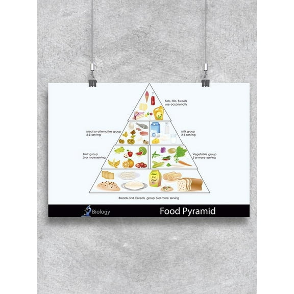 Food Pyramid Chart Poster -Image by Shutterstock