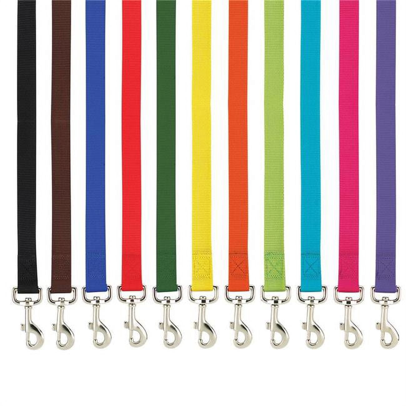 PetEdge  6 ft. x 1 in. Casual Canine Lead Dog Collar, Black