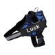 thumbnail image 1 of Arnés de perro personalizado, chaleco de arnés de perro ajustable reflectante para perros pequeños y grandes con parche personalizado, suministros de entrenamiento para perros Tan Jianjun unisex, 1 of 2