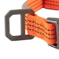 thumbnail image 3 of Carhartt Dog Collar Hunter Orange/Brushed Nickel, 3 of 5