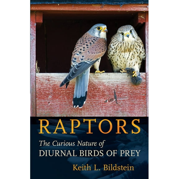 Raptors: The Curious Nature of Diurnal Birds of Prey, (Hardcover)