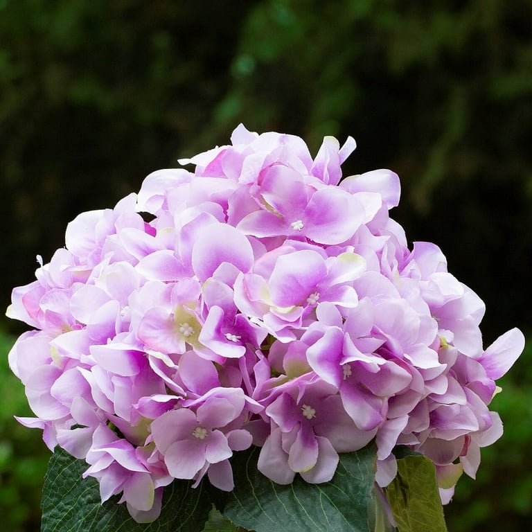 Enova Home Hydrangea Artificial Flowers in Round Glass Vase