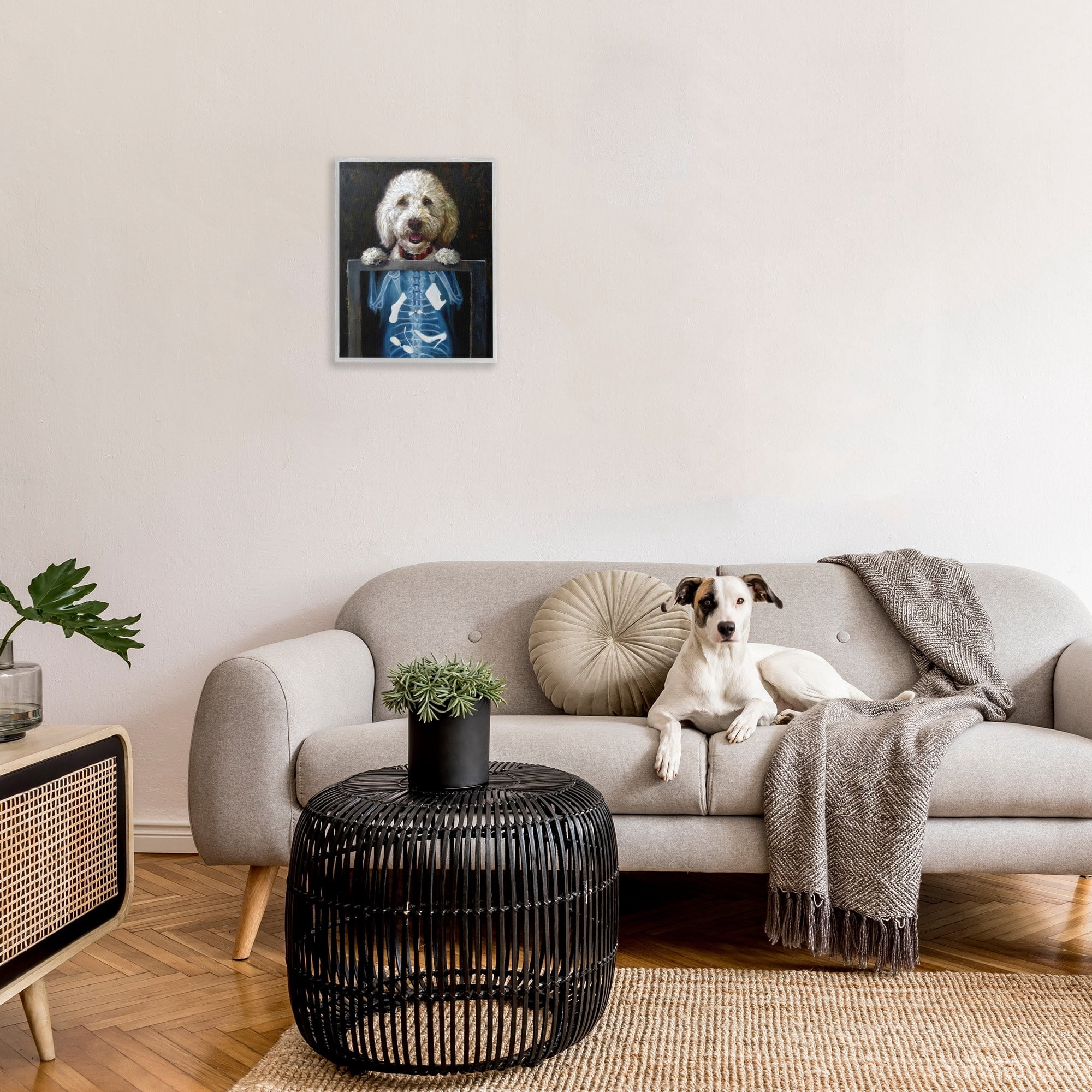 Stupell Industries Funny Dog X-Ray Snacks Animals & Insects Painting Gray Framed Art Print Wall Art