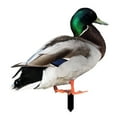 thumbnail image 1 of Duck Decor Realistic Life-like Ornamental Double-sided Printing Rustic Acrylic Garden Poultry Statue for Yard, 1 of 7