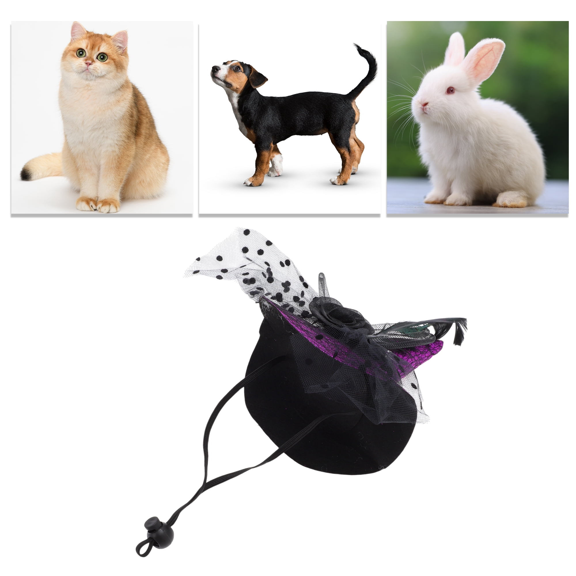 Unique Bargains Halloween Pet Headwear 5.12"x5.91" Purple 1 Pc for Furry Friend