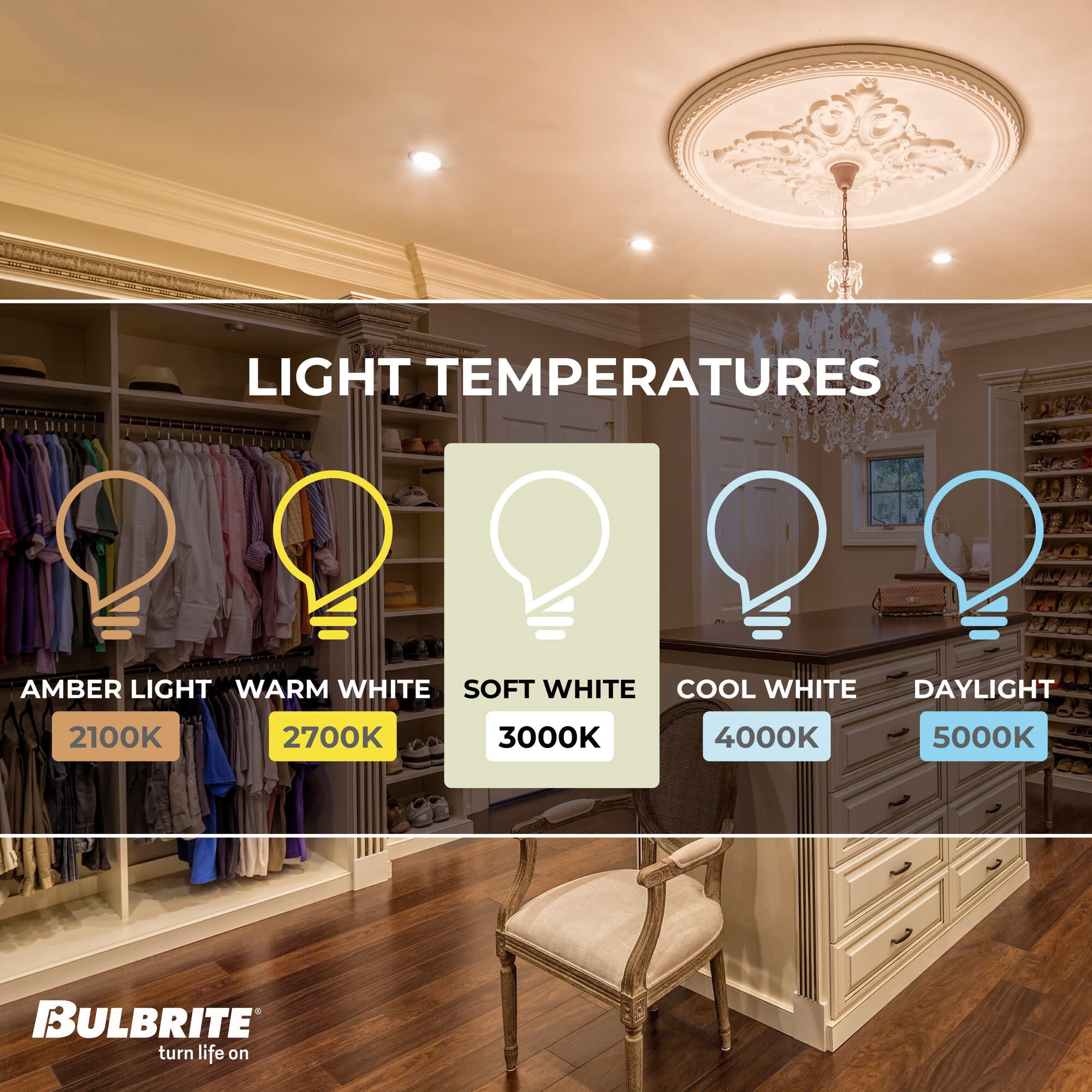 Bulbrite 862858 3000K 750 Lumen 6.5 watt LED Filament Dimmable CA10 Light Bulbs with a Clear & Candelabra E12 Base, Soft White - Pack of 4