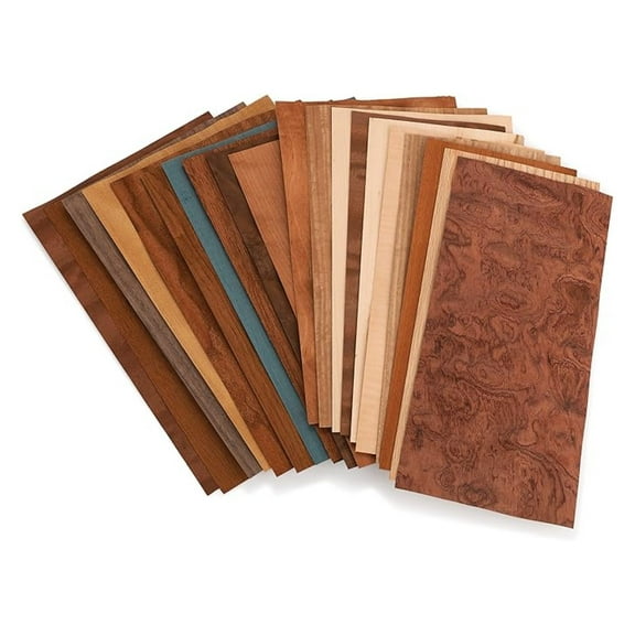 Veneer Pack, 10 Sq Ft - Domestic & Exotic Hardwood Veneers for Marquetry, Inlay, Furniture Accents & Repair - Unbacked Real Wood Sheets