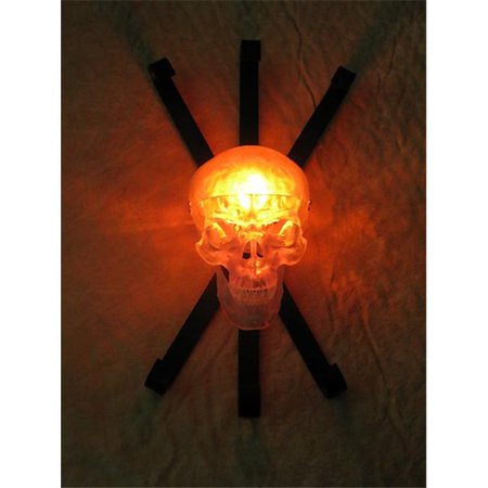 

Skeletons And More SCON-175 Clear Skull Wall Sconce