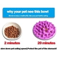 thumbnail image 6 of Slow Feeding Interactive Pet Bowl - Prevent Swallowing and Swelling - Puppy Feeding Bowl, 6 of 7