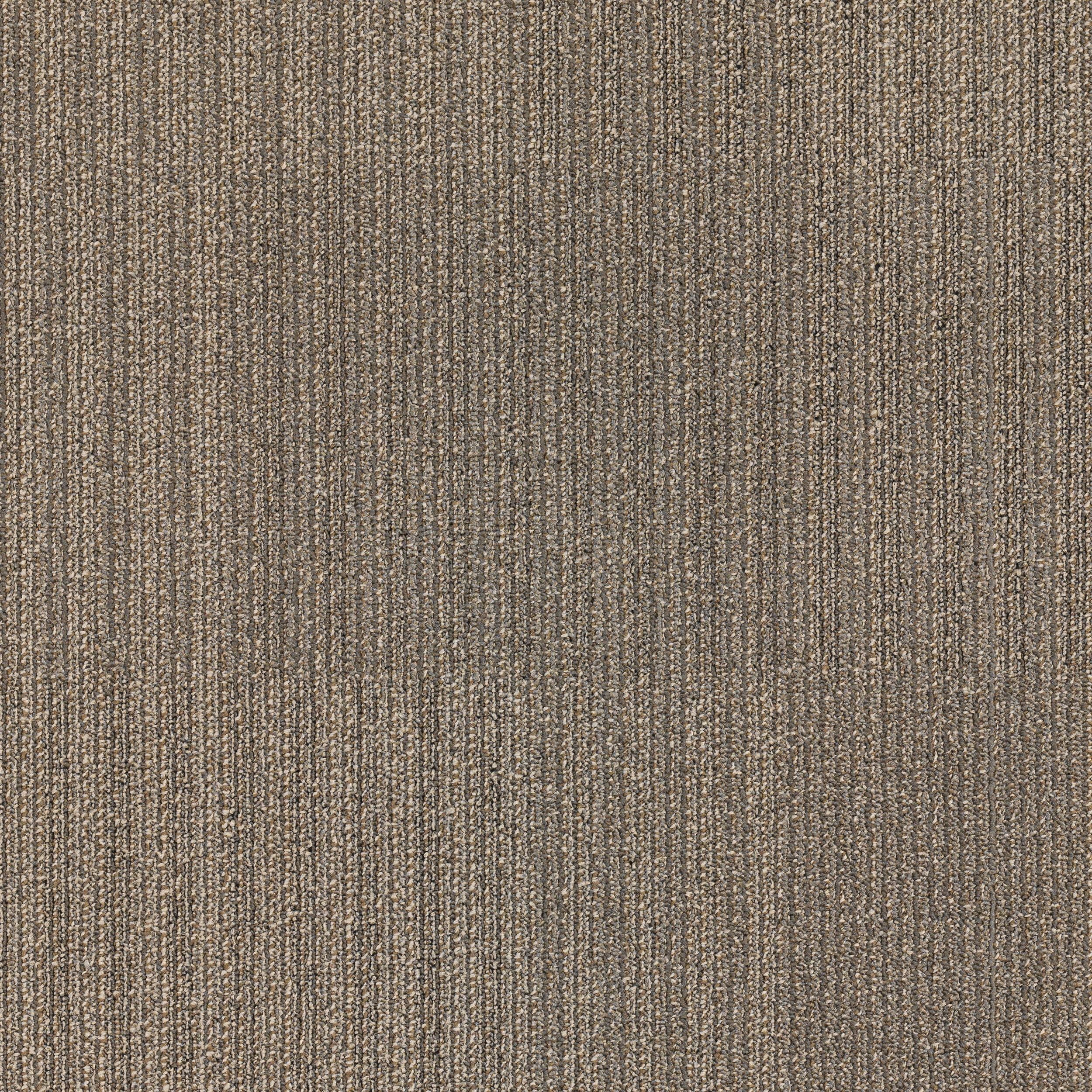 where can i buy carpet samples