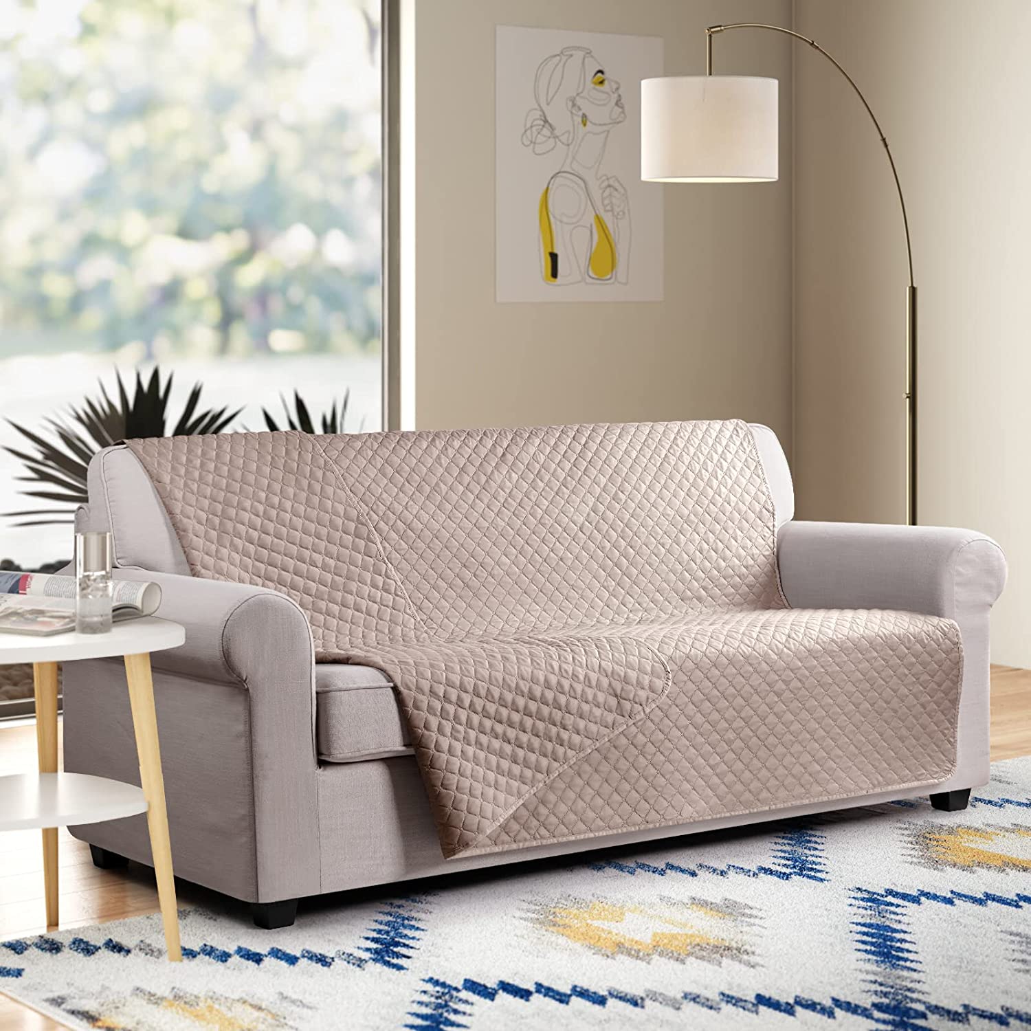 outdoor dog equipment