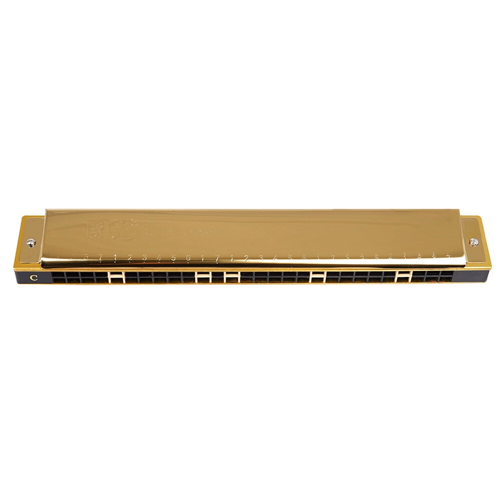 Raindrops 28-Hole Golden Key of C Harmonica Polyphonic Musical Instrument for Beginners, Stainless Steel and ABS Construction