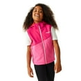 thumbnail image 4 of Regatta Boys/Girls Acidity II Body Warmer, 4 of 5