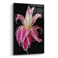 thumbnail image 2 of Epic Art 'Lily Queen' by Pamela Plummer, Acrylic Glass Wall Art, 16"x24", 2 of 8