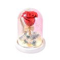 thumbnail image 1 of Lámpara De Flor De Rosa Cubierta De Vidrio Flor De Rosa Con Luz Led Decoración Del Hogar Para El Día De San Valentín Día De Navidad Minnieouse HA021309-00, 1 of 6