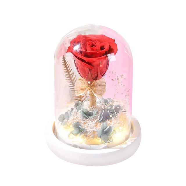 Lámpara De Flor De Rosa Cubierta De Vidrio Flor De Rosa Con Luz Led Decoración Del Hogar Para El Día De San Valentín Día De Navidad Minnieouse HA021309-00