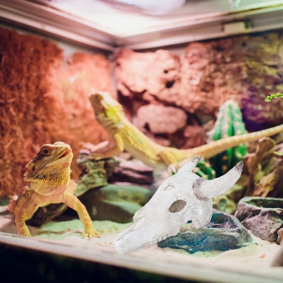 Hytrove Multifuncional Con Cráneos De Para Terrario De Reptiles En Casa