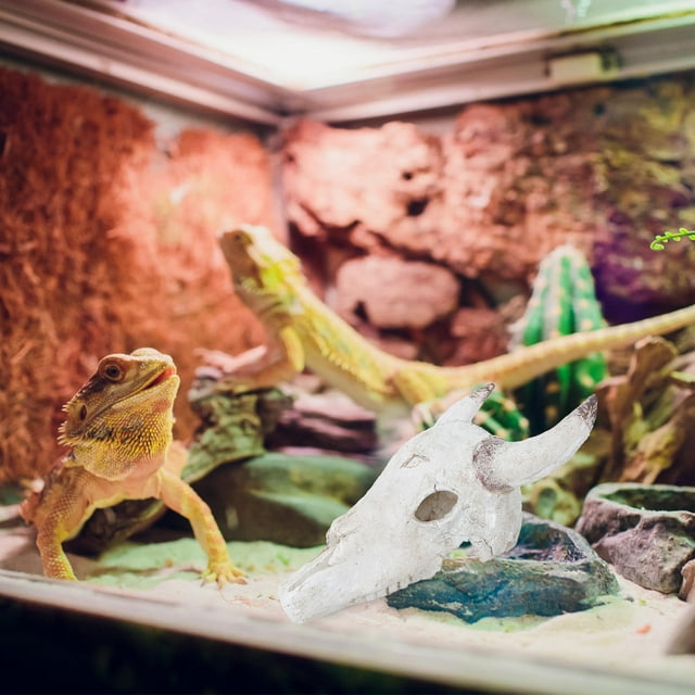 Hytrove Multifuncional Con Cráneos De Para Terrario De Reptiles En Casa