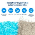 PetSafe ScoopFree Complete Replacement Blue Crystal Litter Tray, 1Pack