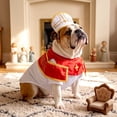 thumbnail image 4 of Cadancy Pet Costume Priest Outfit Hat Small Medium Dog Apparel Halloween Party Dress Up Funny Clothing Photo Prop Festival Seasonal Accessory Gift for Puppy Owner Present, 4 of 6
