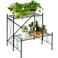 thumbnail image 2 of Canddidliike 2-Tier Metal Plant Stand Garden Shelf, Heavy Duty Plant Holder Shelf for Home Indoor Outdoor, 2 of 9