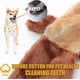 thumbnail image 4 of Squeaky Plush Dog Toy for Boredom, No Stuffed Raccoon Soft Dog Toys for Small Medium Large Dogs, 4 of 4