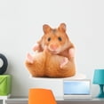 thumbnail image 1 of Hamster Wall Decal by Wallmonkeys Peel and Stick Graphic (24 in H x 22 in W) WM234671, 1 of 4