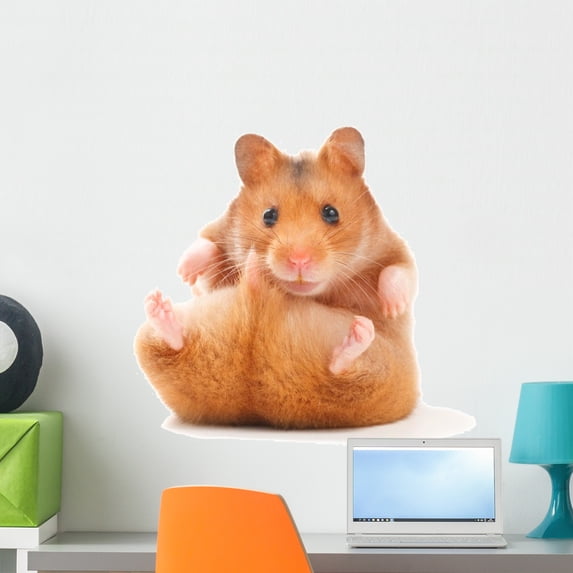 Hamster Wall Decal by Wallmonkeys Peel and Stick Graphic (24 in H x 22 in W) WM234671