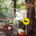 thumbnail image 4 of Eveokoki Halloween Yard Sign Wolf Crossing Decorations Yard Signs Decorative Garden Stakes Aluminum Outdoor Lawn Signs for Halloween Party Yard Lawn Garden Decorations, 4 of 6