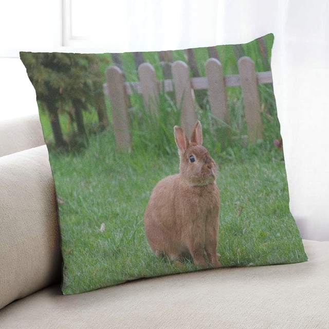 Ahgly Company Animals Rabbit Indoor Throw Pillow, 18 inch by 18 inch