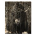 thumbnail image 3 of Designart 'Portrait Of Monochrome Wild Bull In Winter Forest II' Farmhouse Print on Natural Pine Wood, 3 of 5