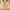 Beige, variant on Clearance Under 5 UsYezik Bras for Older Women Comfort No Underwire Bras Stretch Wireless Comfortable Bras Comfy Wirefree Full Support Bra Mom Gift