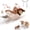 Brown Sparrow, variant on Homieway Large Interactive Chirping Bird Cat Toy, Flapping Wings Hanging Cat Toy, USB Rechargeable Electric Sparrow Shaking Bird for Indoor Cats, Blue