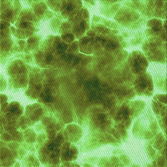 Ahgly Company Indoor Square Patterned Nebula Green Area Rugs, 4' Square