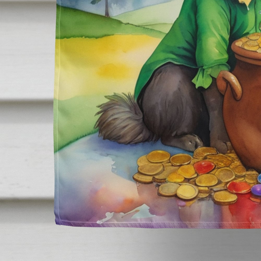 Belgian Tervuren St Patrick's Day House Flag 28 in x 40 in