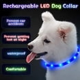thumbnail image 3 of 3 Piezas Collar LED para Mascotas Collares para Perros Iluminados Collar para Mascotas Recargable por USB Collar para Mascotas Resistente al Agua Collar para Perros Brillante Cortable Collar, 3 of 5