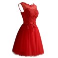 thumbnail image 4 of Vestido de dama de encaje de las mujeres atractivas sin mangas bordado de malla de tul delgado Irfora Vestido, 4 of 7