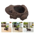thumbnail image 3 of Maceta de rana: Maceta de cemento con forma de rana para suculentas, linda maceta con forma de animal, maceta para bonsái, ideal para escritorios de interior y oficina., 3 of 7