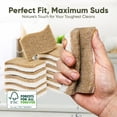 thumbnail image 4 of Plant-Based Kitchen Sponges (24 Pack) | FSC-Certified & PETA Approved | Natural Cellulose & Coconut Blend Scrubber Dish Sponges for Kitchen | S-Shaped Design | Eco-Friendly, Non-Scratch & Non-Toxic, 4 of 4