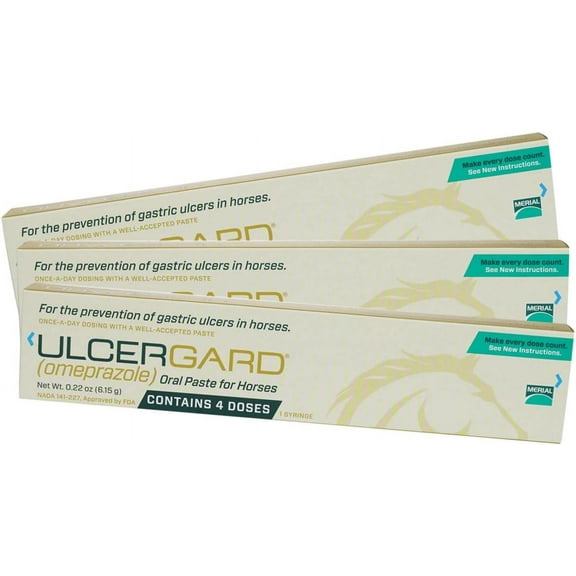 Ulcergard Paste, 3 Pack